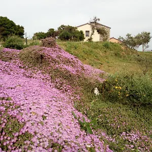 https://tenuta-petra-bianca.in-sardinia.net